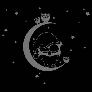 Трафарет Спящая сова