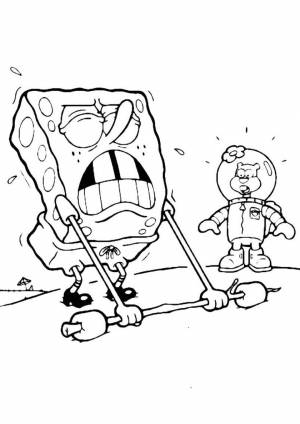 Раскраска Спанч Боб на тренировке