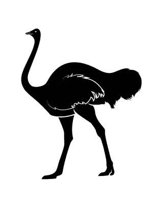 Трафареты Страуса