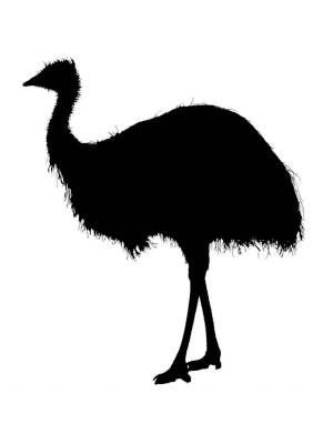 Трафареты Страуса