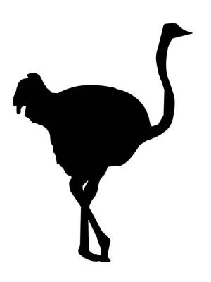 Трафареты Страуса