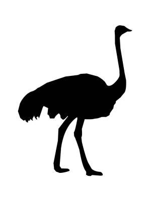 Трафареты Страуса