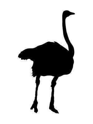 Трафареты Страуса