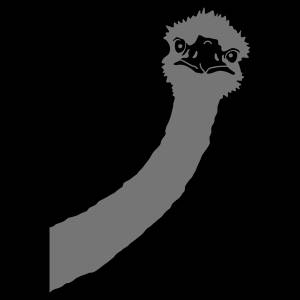 Трафарет Страус