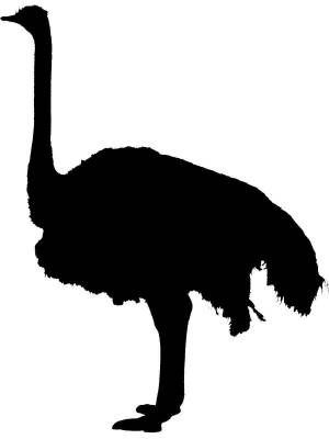 Трафареты Страуса
