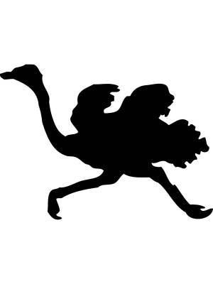 Трафареты Страуса