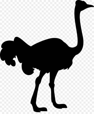 Трафарет страуса