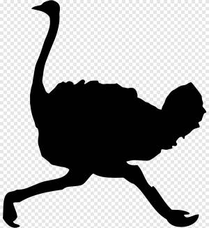 Трафарет страуса