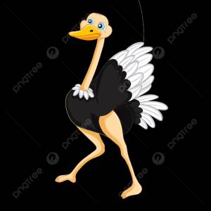 Крепкие ноги страуса картинки PNG , крепкий, страус, Страус картинки PNG картинки и пнг PSD рисунок для й загрузки