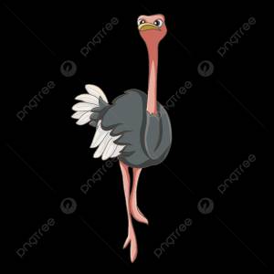 Страус смотрит в небо клипарт PNG , страус, Страус картинки, птицы PNG картинки и пнг PSD рисунок для й загрузки