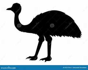 Силуэт эму страуса иллюстрация штока