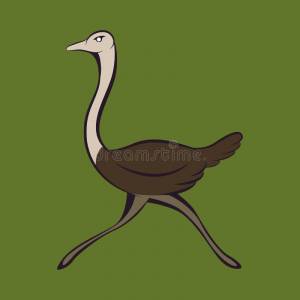 Иллюстрация шаблон проектирования страуса вектора логотипа страуса животные графическая Иллюстрация вектора