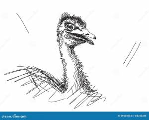 Страус нарисованный рукой иллюстрация вектора