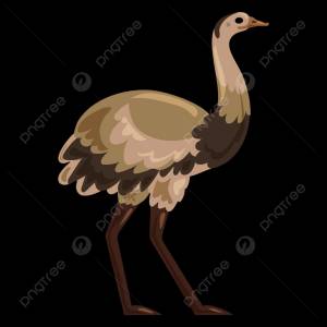 Страус значок мультфильм вектор страуса PNG , страус, мультфильм, Вектор PNG картинки и пнг рисунок для й загрузки