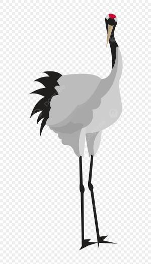 страус PNG рисунок, картинки и пнг прозрачный для й загрузки