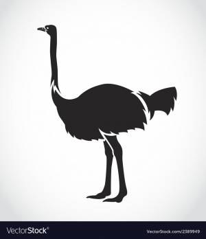 Трафарет страуса