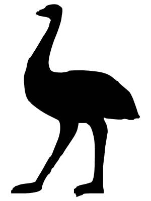 Трафареты Страуса