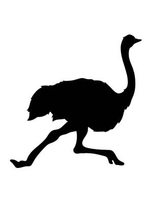 Трафареты Страуса