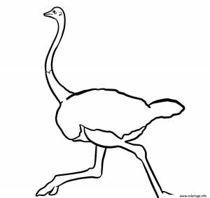Трафарет страуса