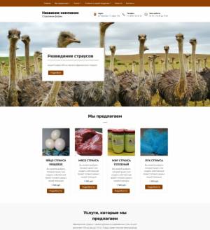 Шаблон сайта Страусиная ферма для WordPress 8042