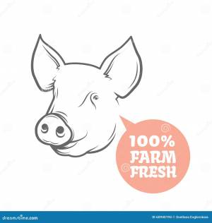 Шаблон дизайна логотипа свиньи Иллюстрация вектора