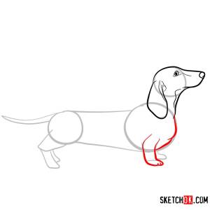 Рисунок таксы поэтапно