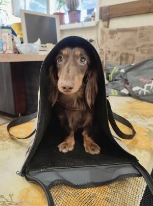Что