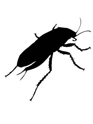 Трафареты Таракана