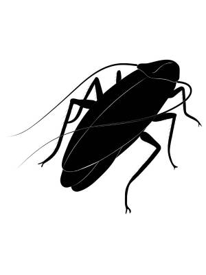 Трафареты Таракана