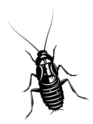 Трафареты Таракана