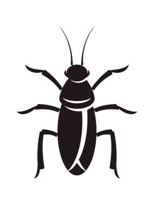 Трафареты Таракана