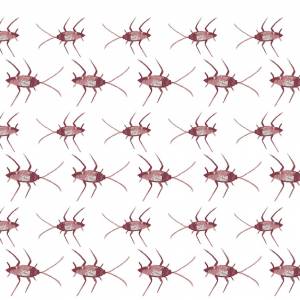 Шаблон акварели таракана