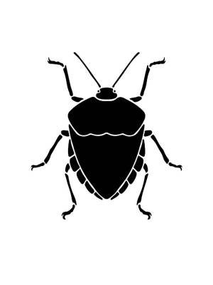 Трафареты Жука