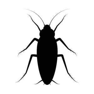 Изолированная икона таракана на белом фоне векторный черный силуэт насекомого