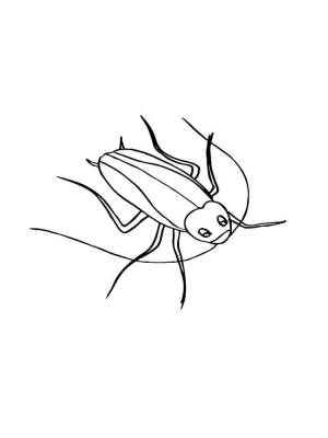 Раскраски Таракан