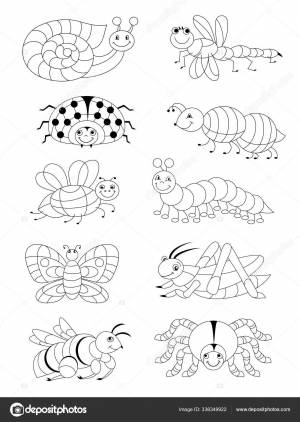 Черно Белая  Детской Раскраски Набор Разных Милых Насекомых Печатный Векторное изображение ©Nataljacernecka 336349922