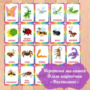 картинки насекомых для детей с названием  для распечатки