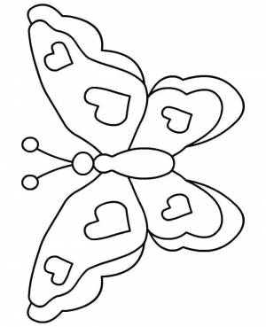 Раскраски насекомых, Раскраска Мир насекомых Насекомые