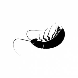 Логотип таракана изолированный таракан на белом фоне