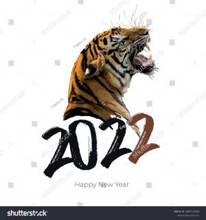 New Year Illustration Happy New Year