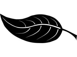 Трафареты Листьев