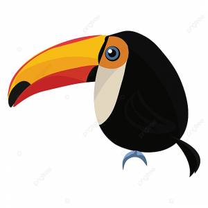 тукан вектор  цветная иллюстрация PNG , тукан клипарт, черный, белый PNG картинки и пнг рисунок для й загрузки