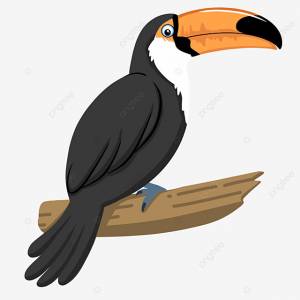 Черный тукан картинки PNG , тукан клипарт, большой рот, перелетная птица PNG картинки и пнг PSD рисунок для й загрузки