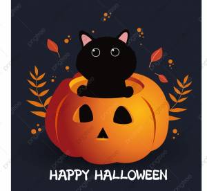 черная кошка в хэллоуин тыква шаблон Instagram пост рисунок Шаблон для скачивания на Pngtree