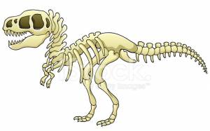 Тиранозавр Скелет Изображение Стоковый Вектор