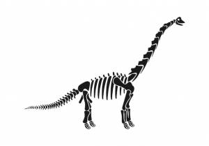 Скелет динозавра бронтозавра доисторическая векторная иллюстрация животных