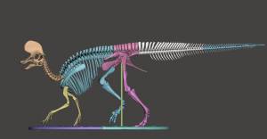Файл STL Скелет динозавра Ламбеозавра легкая печать ・Шаблон для 3D-печати для загрузки・Cults