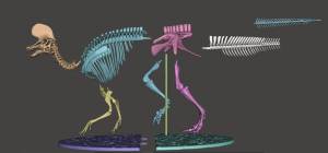 Файл STL Скелет динозавра Ламбеозавра легкая печать ・Шаблон для 3D-печати для загрузки・Cults