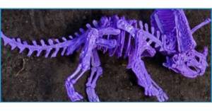 Скелет трицератопса