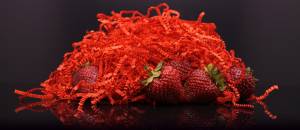 Формы и трафареты